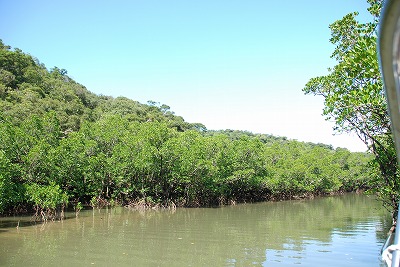 西表島のプライベートツアーならメラマウリゾート