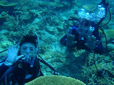 西表島の海を体験ダイビング