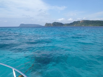 奥西表・網取の海