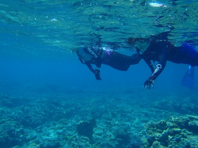西表島網取の海でシュノーケリング