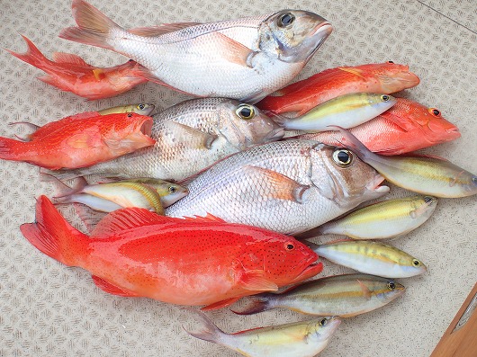 台風後もエキサイティングな西表島の釣りと美しい網取シュノーケリング!