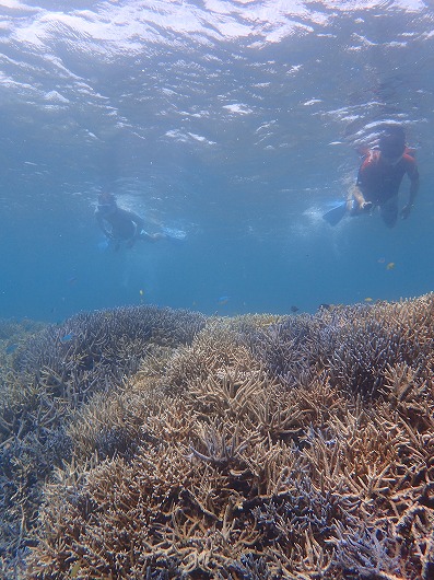 台風後もエキサイティングな西表島の釣りと美しい網取シュノーケリング!
