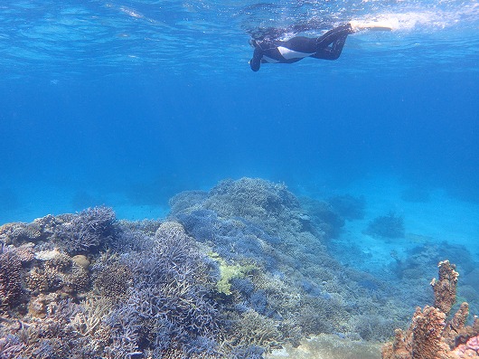 台風後もエキサイティングな西表島の釣りと美しい網取シュノーケリング!