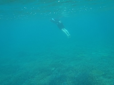 初シュノーケリングに感動! 初シュノーケリングに感動!