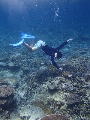 西表島でシュノーケリングや釣りを石垣島から日帰りでも楽しめるメラマウリゾート