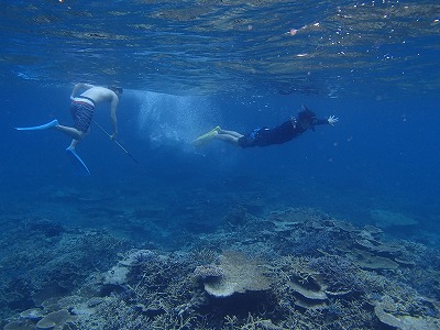 西表島でシュノーケリングや釣りを石垣島から日帰りでも楽しめるメラマウリゾート