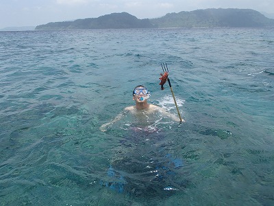 西表島でシュノーケリングや釣りを石垣島から日帰りでも楽しめるメラマウリゾート