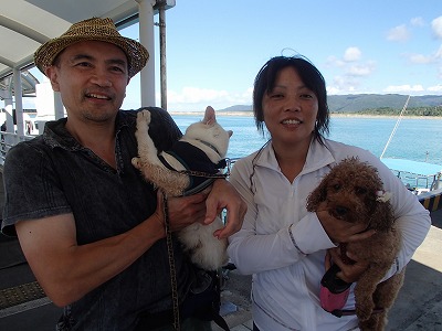 西表島でペットと一緒に石垣島から日帰りシュノーケリングなら貸切ツアーのメラマウリゾート