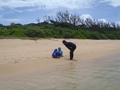 奥西表のプライベートビーチ 奥西表のプライベートビーチ