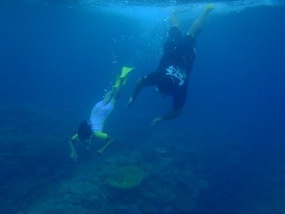 西表島の海のリゾートならメラマウリゾート 西表島の海のリゾートならメラマウリゾート
