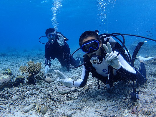 石垣島より奥西表貸切ボートチャーターシュノーケリング釣り体験ダイビング