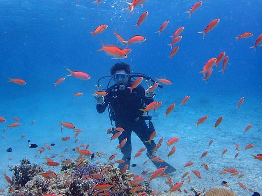 石垣島より奥西表貸切ボートチャーターシュノーケリング釣り体験ダイビング