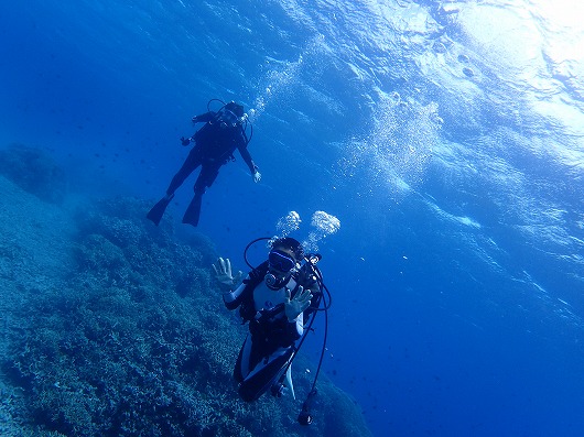 石垣島より奥西表貸切ボートチャーターシュノーケリング釣り体験ダイビング