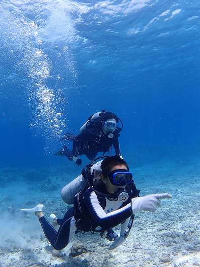 石垣島より奥西表貸切ボートチャーターシュノーケリング釣り体験ダイビング