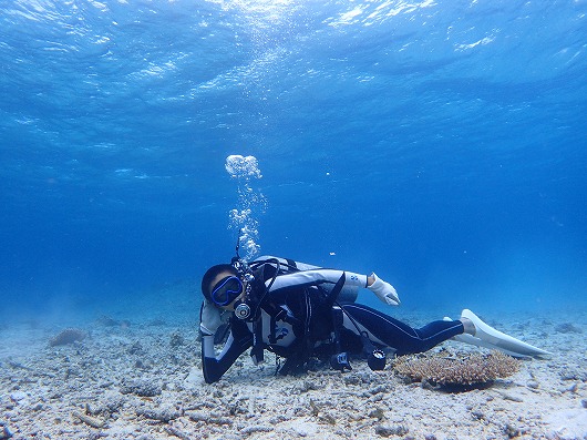 石垣島より奥西表貸切ボートチャーターシュノーケリング釣り体験ダイビング