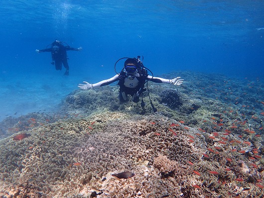 石垣島より奥西表貸切ボートチャーターシュノーケリング釣り体験ダイビング