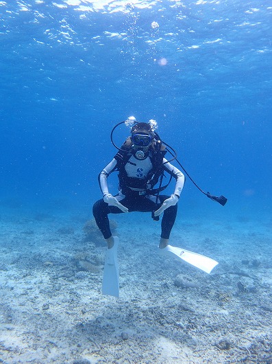 石垣島より奥西表貸切ボートチャーターシュノーケリング釣り体験ダイビング