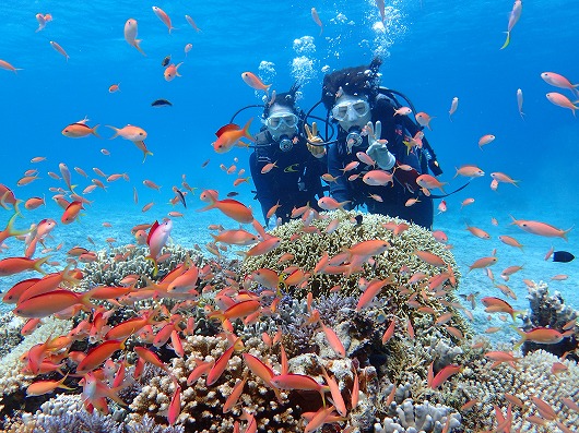 石垣島より奥西表貸切ボートチャーターシュノーケリング釣り体験ダイビング