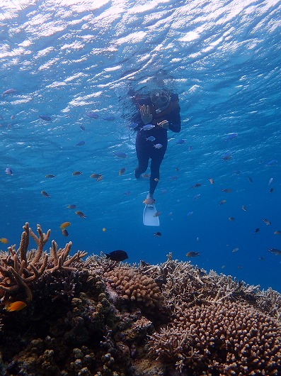 石垣島より奥西表貸切ボートチャーターシュノーケリング釣り体験ダイビング