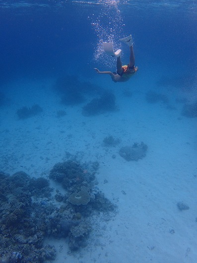 石垣島より奥西表貸切ボートチャーターシュノーケリング釣り体験ダイビング