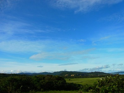西表島の気持ちよい青空