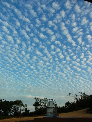 西表島でシュノーケリングツアーならメラマウリゾート
